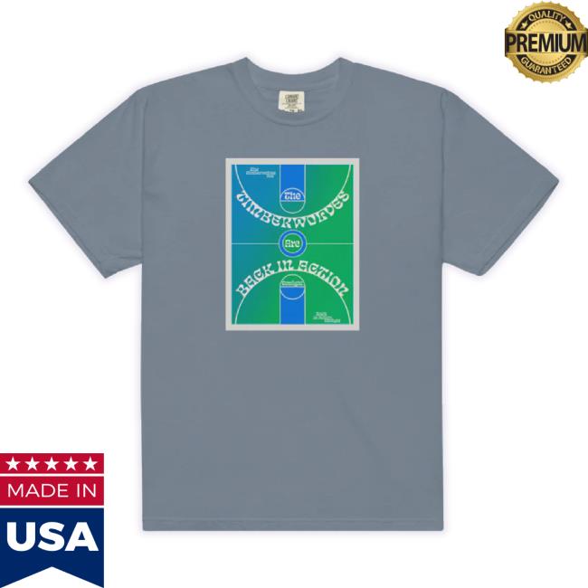 Official Jakesgraphs Merch Store Back In Action Hoodie Sweatshirt Jakesgraphs Shop