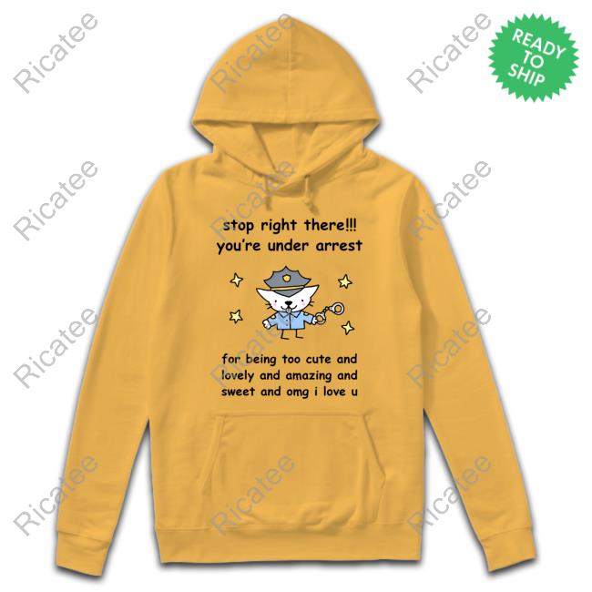 Stop Right There You're Under Arrest Sweatshirt