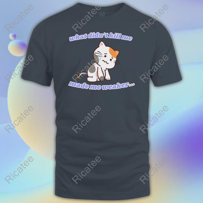 Bruhtees What Didn't Kill Me Made Me Weaker Tee Shirt