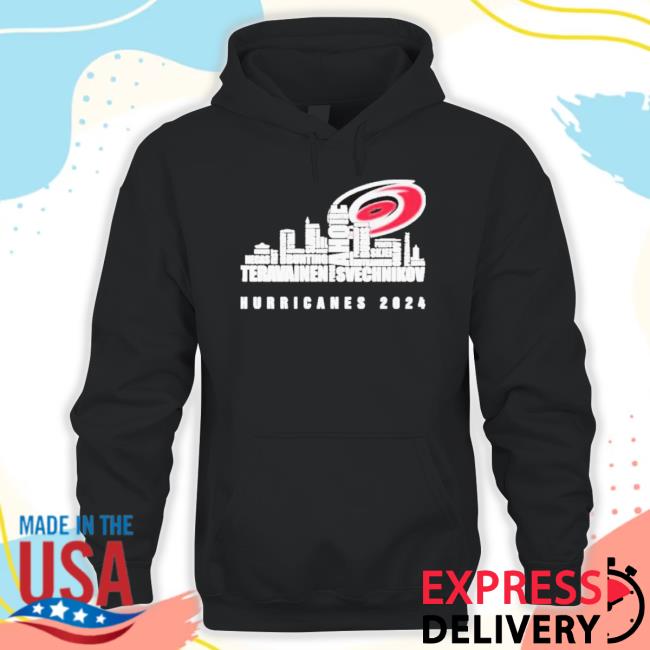 Trending Carolina Hurricanes 2024 Players Name City Skyline Hoodie Sweatshirt