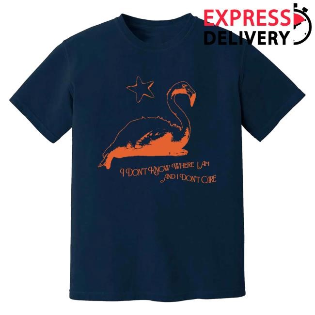 Kim Deal Music Official Merch Store Kim Deal Flamingo Hoodie Sweatshirt Kim Deal Music Official Merch Store Kim Deal Flamingo Long Sleeve T Shirt