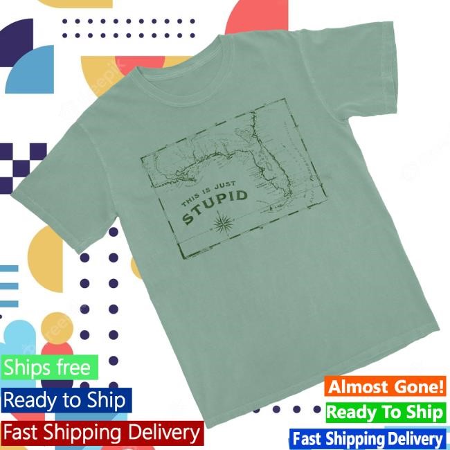 Dirty Coast Merch This Is Stupid Shirts
