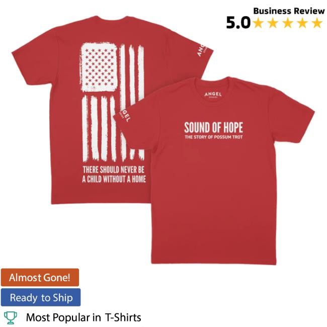 Sound Of Hope Flag Hoodie