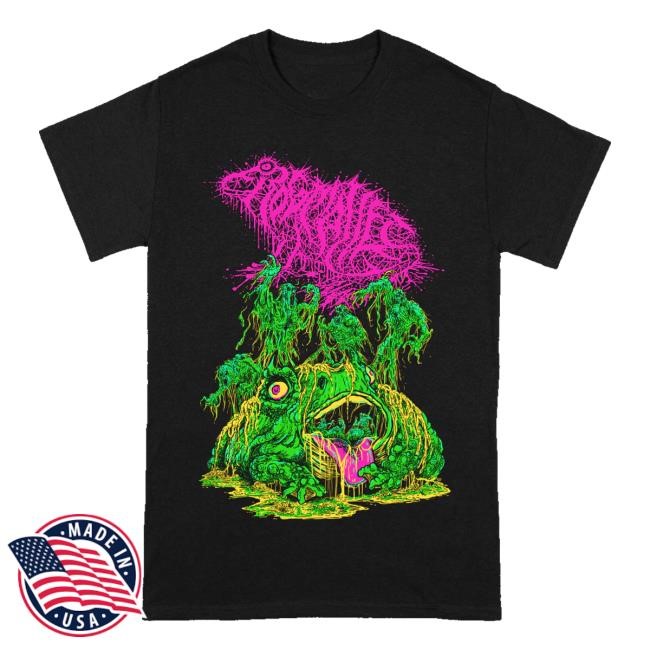 Reality Fade Merch Frog Mallet Swamp Frog Tee Shirt