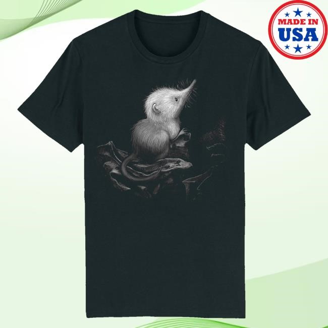Little Shrew Long Sleeve T Shirt Kate Bush Merch Little Shrew Hoodie Sweatshirt Snowflake