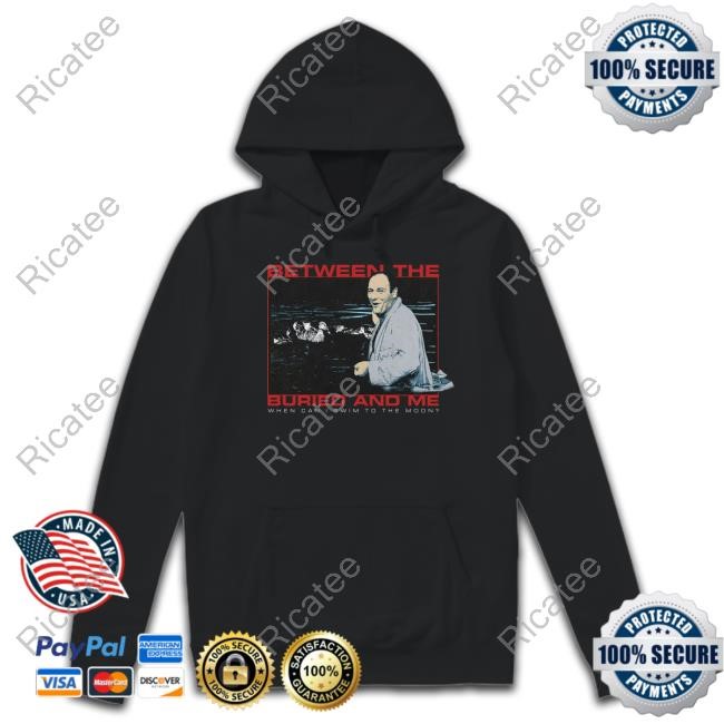 Btbamazon The Buried And Me When Can I Swim To The Moon Shirt