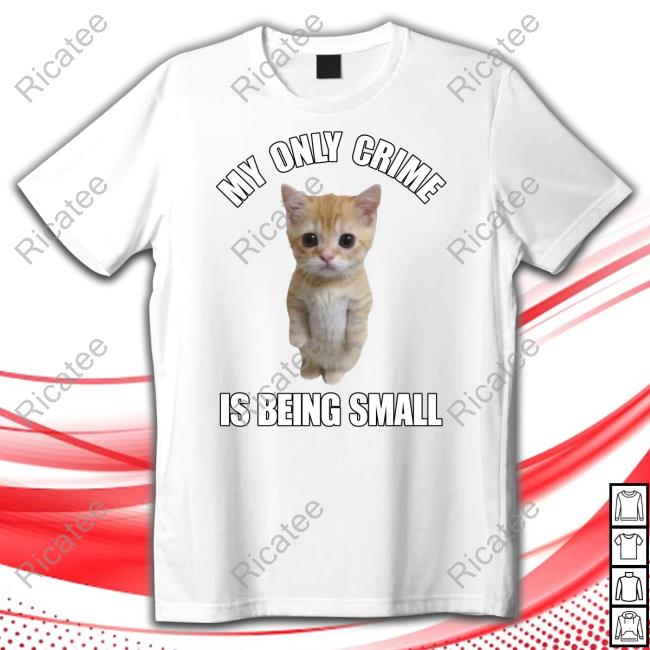 Cringeytees Store Cat My Only Crime Is Being Small Hoodie