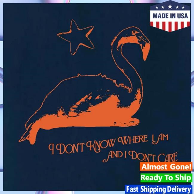 Kim Deal Music Official Merch Store Kim Deal Flamingo Classic Shirt