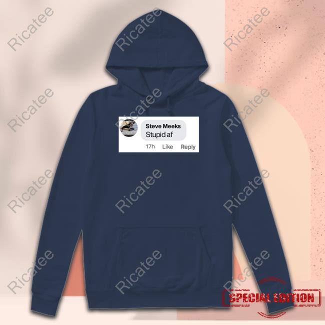 Pltdaddy Steve Meeks Stupid Af Hoodie