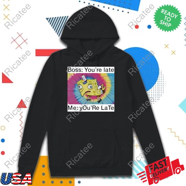 Devsprings Boss You're Late Me You're Late T-Shirt