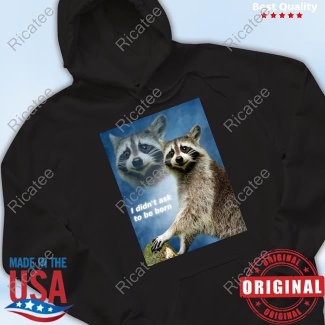 Raccoon Aesthetic I Didn't Ask To Be Born Long Sleeve T Shirt